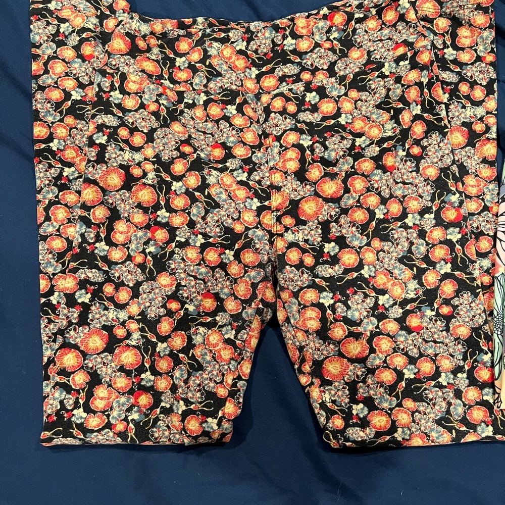 Lularoe leggings. One size.